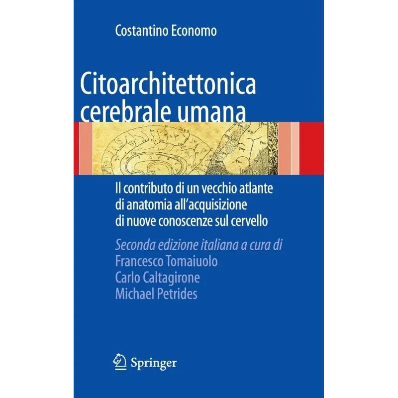 Citoarchitettonica cerebrale umana