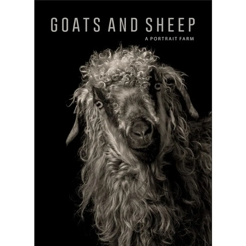 GOATS AND SHEEP. A PORTRAIT FARM
