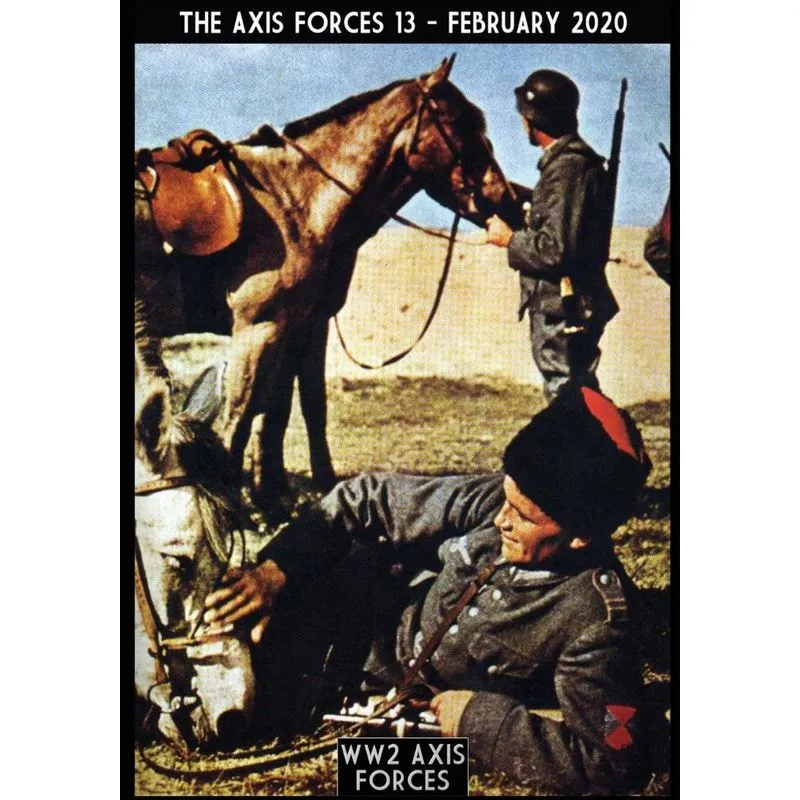 The axis force 13