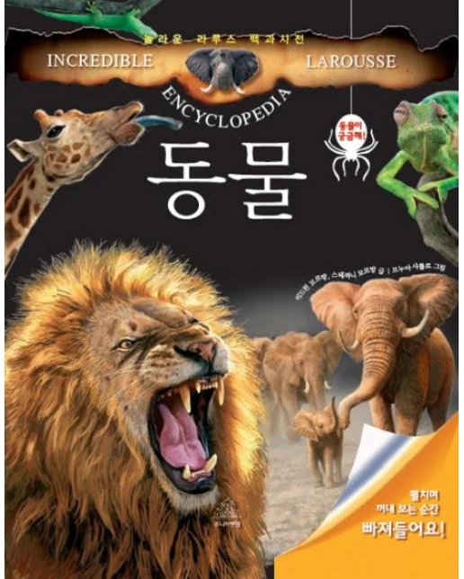 동물