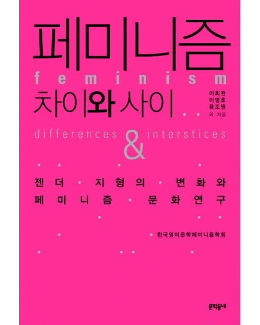 페미니즘: 차이와 사이 (젠더 지형의 변화와 페미니즘 문화연구)