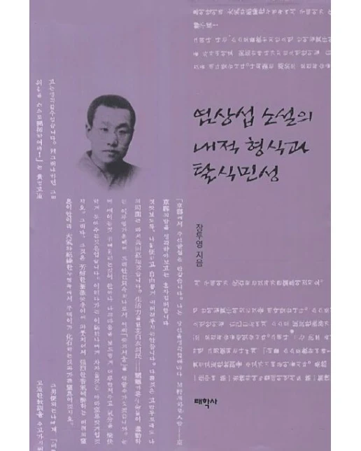 염상섭 소설의 내적 형식과 탈식민성 (양장본 Hardcover)