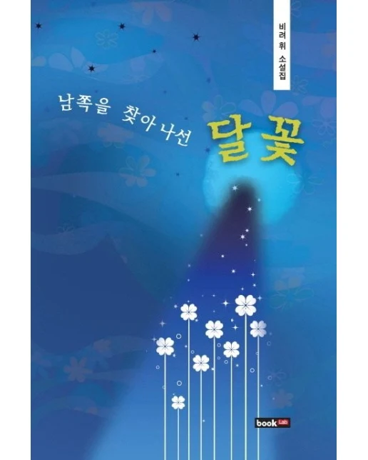 남쪽을 찾아 나선 달꽃 (비려휘 소설집)