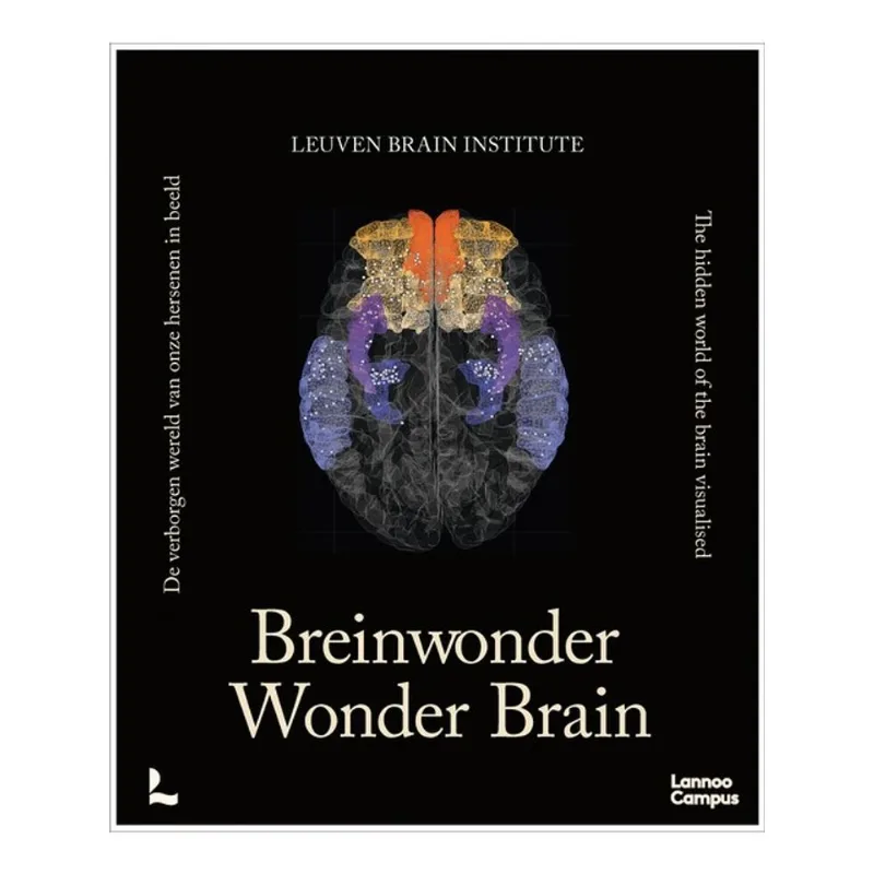 WONDER BRAIN