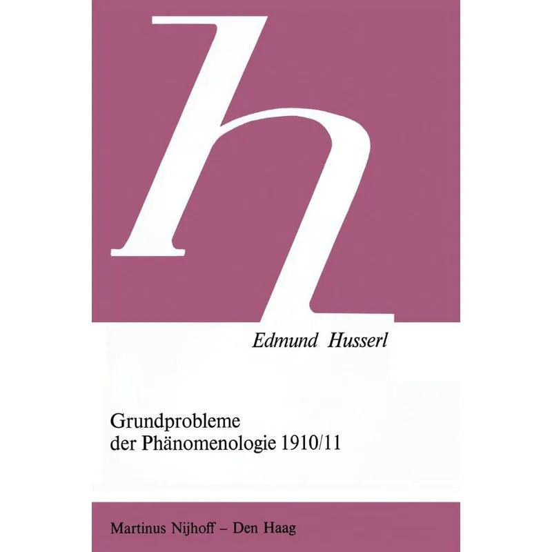 Grundprobleme der Phänomenologie 1910/11
