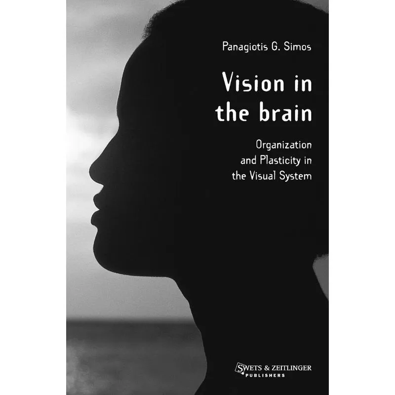 Vision in the Brain
