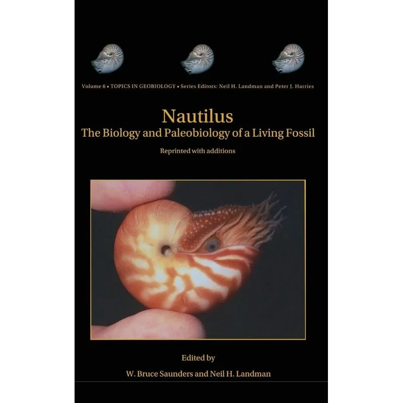 Nautilus