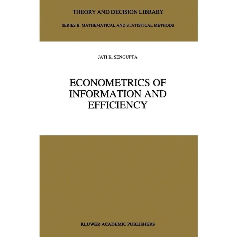 Econometrics of Information and Efficiency