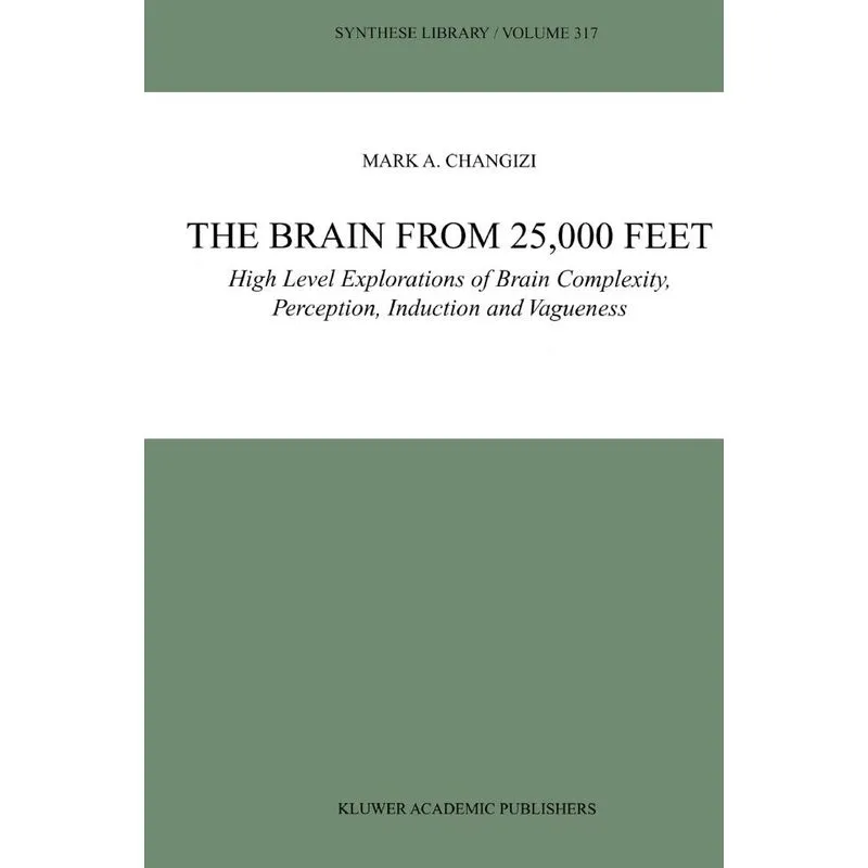 The Brain from 25,000 Feet