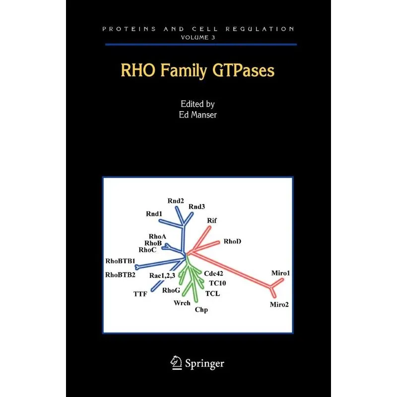 Rho Family GTPases