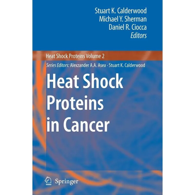 Heat Shock Proteins in Cancer