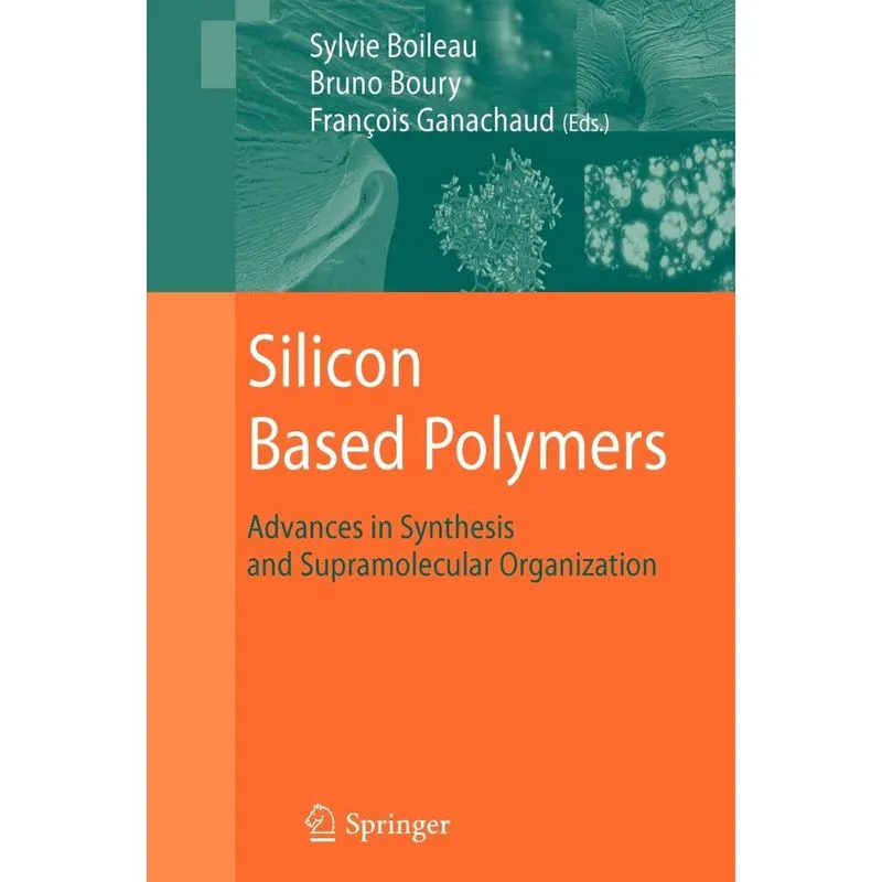 Silicon Based Polymers