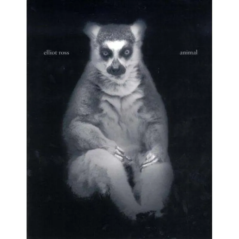 Elliot Ross - Animal