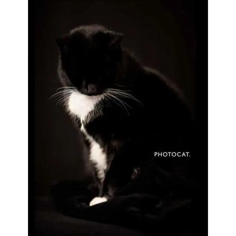 Photocat.