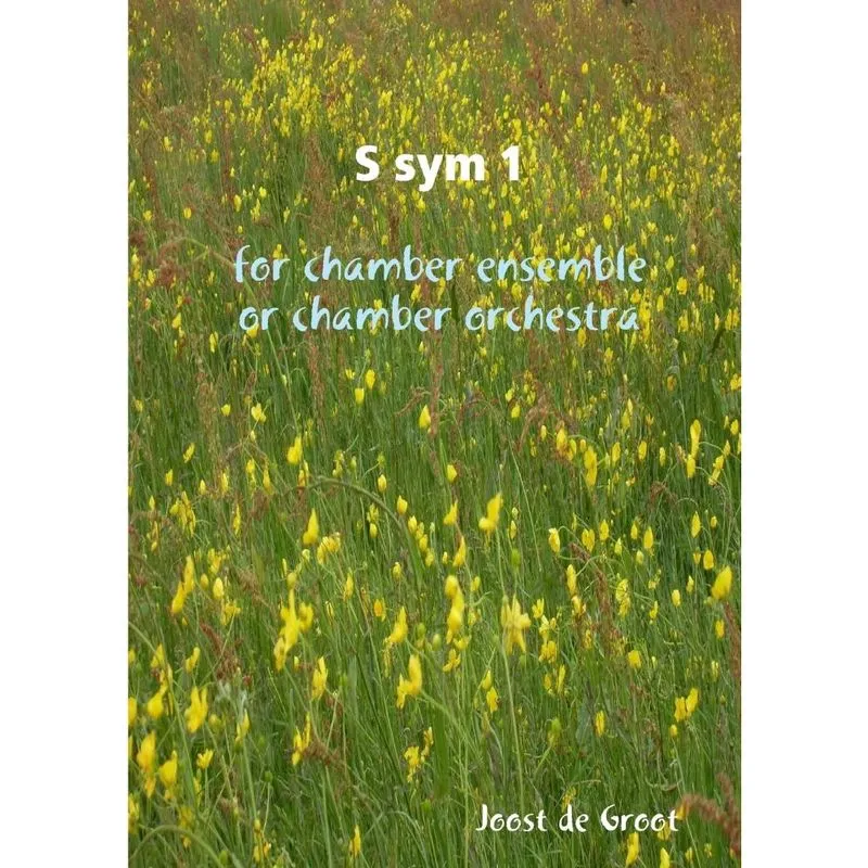 S sym 1 for chamber ensemble or chamber orchestra