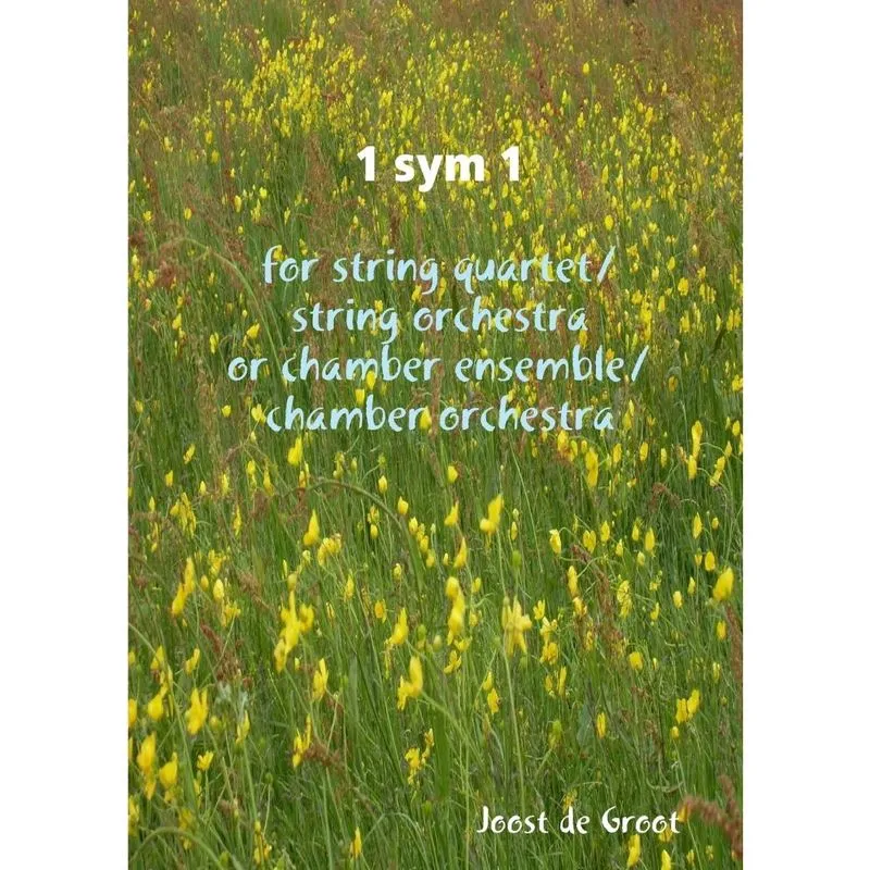 1 sym 1 for string quartet/string orchestra or chamber ensemble/chamber orchestra