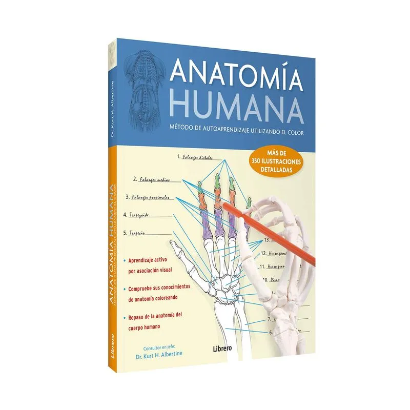 Anatomía Humana (Identificación por el color)