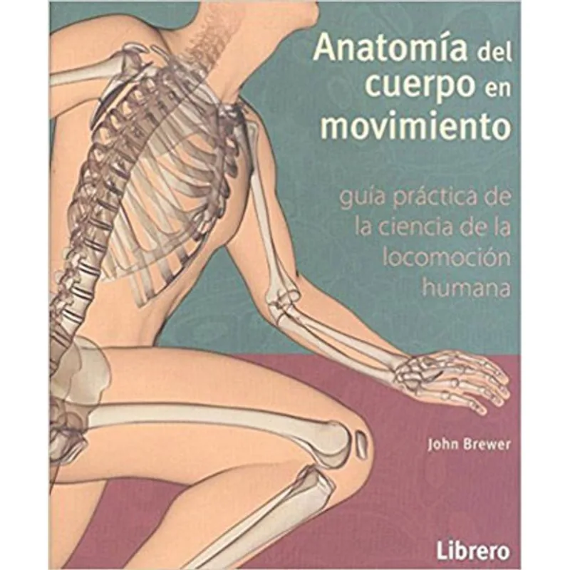 ANATOMIA DEL CUERPO EN MOVIMIENTO