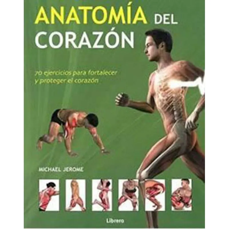 ANATOMIA DEL CORAZON