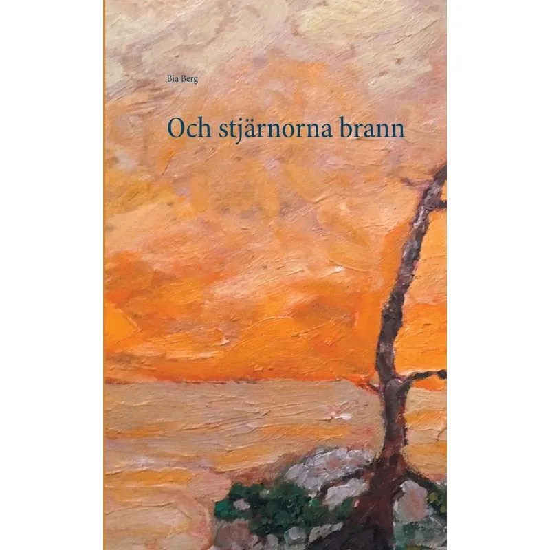 Och stjärnorna brann