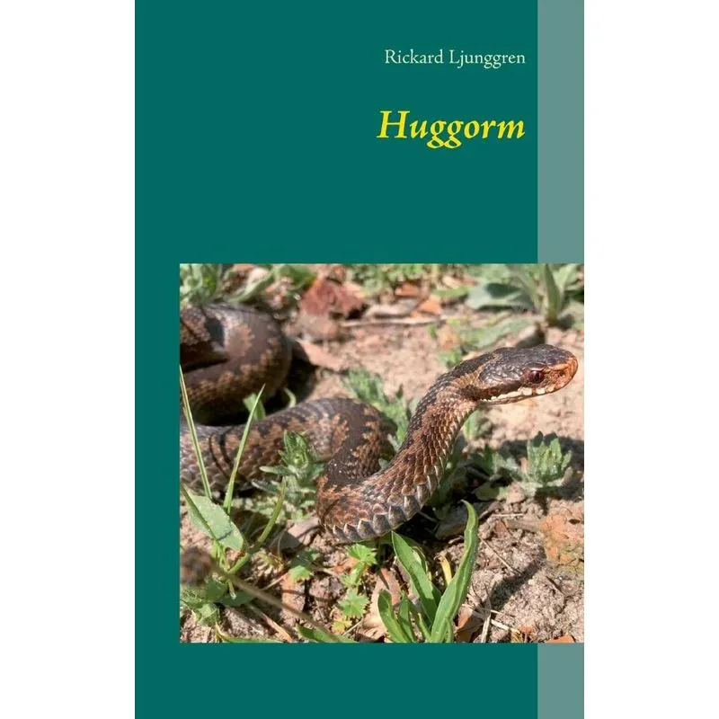 Huggorm
