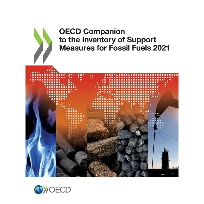 Oecd Companion To The Inventory Of Support Measures For Fos