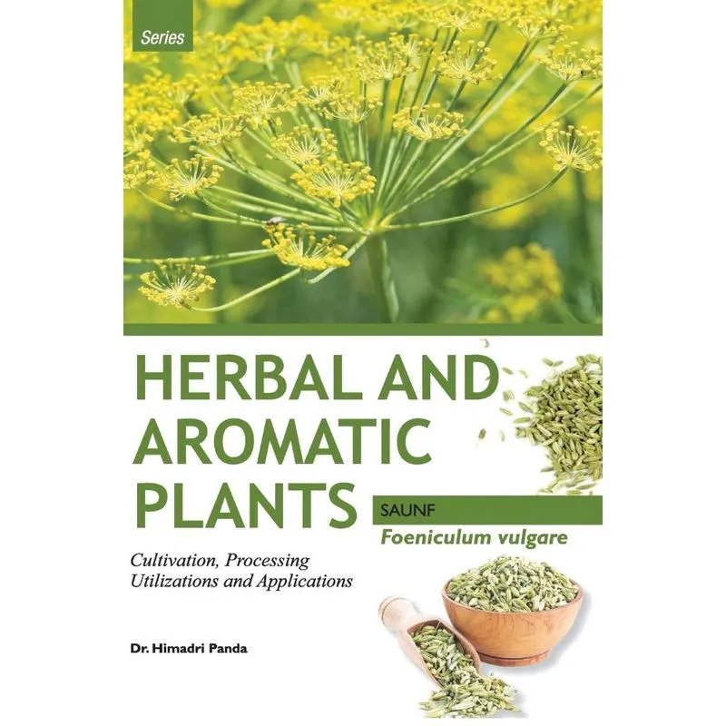Herbal and aromatic plants - Foeniculum vulgare (saunf)