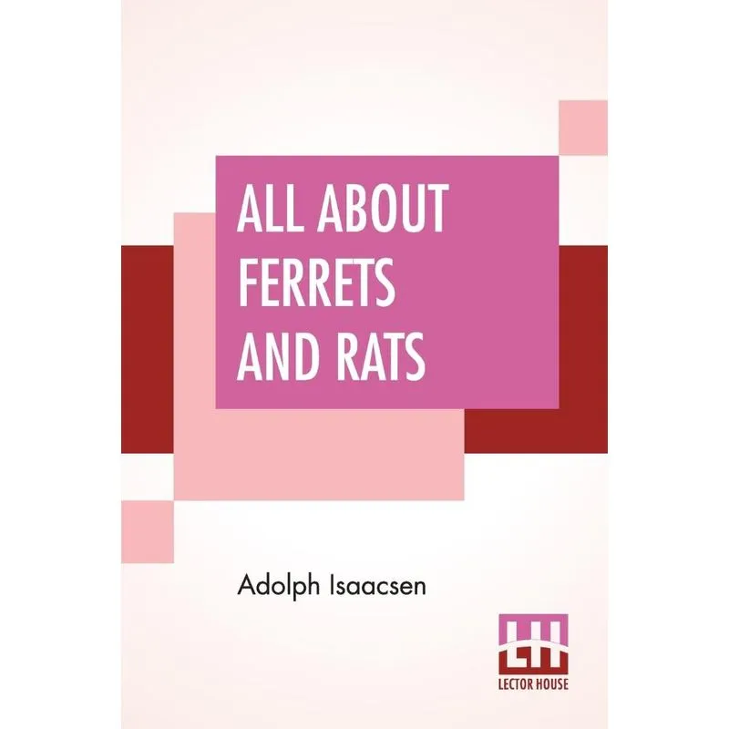 All About Ferrets And Rats