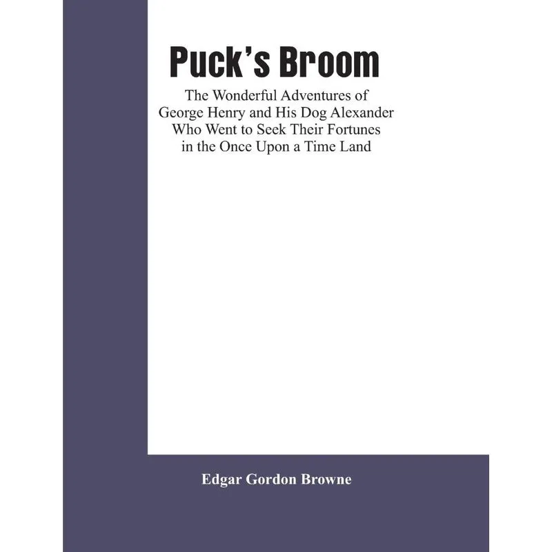 Pucks Broom