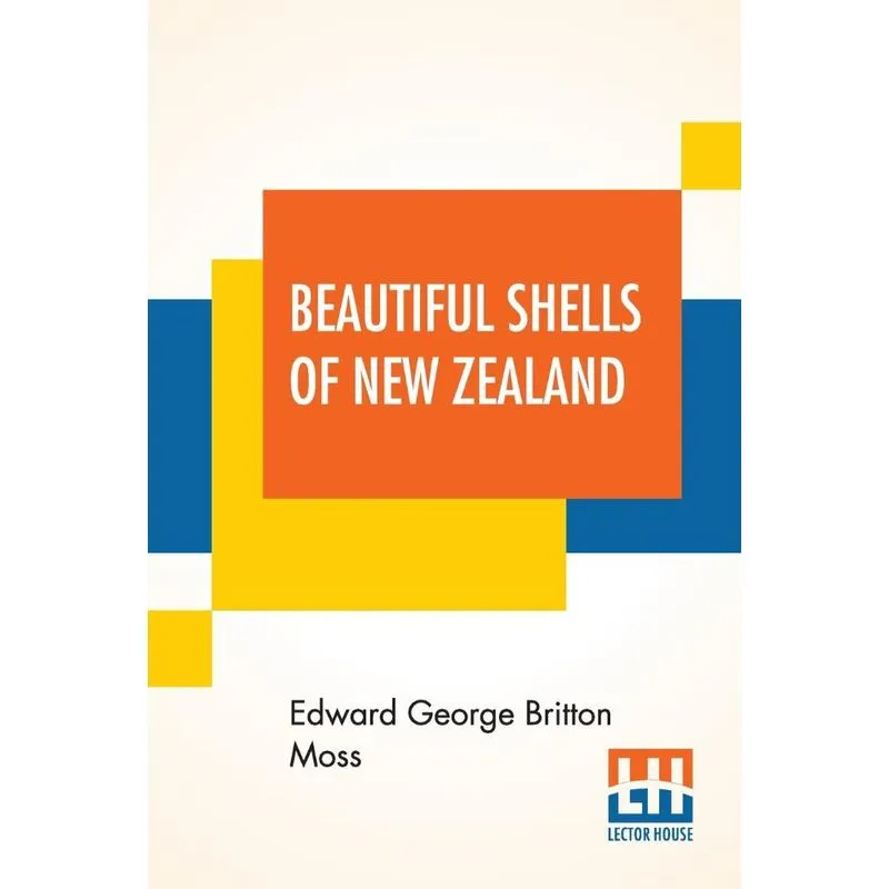 Beautiful Shells Of New Zealand