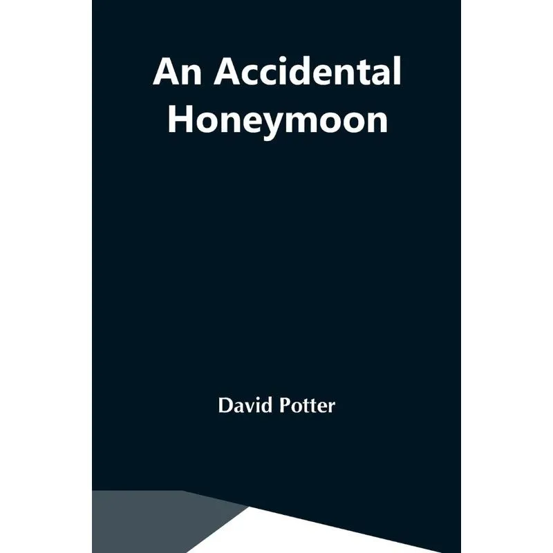 An Accidental Honeymoon