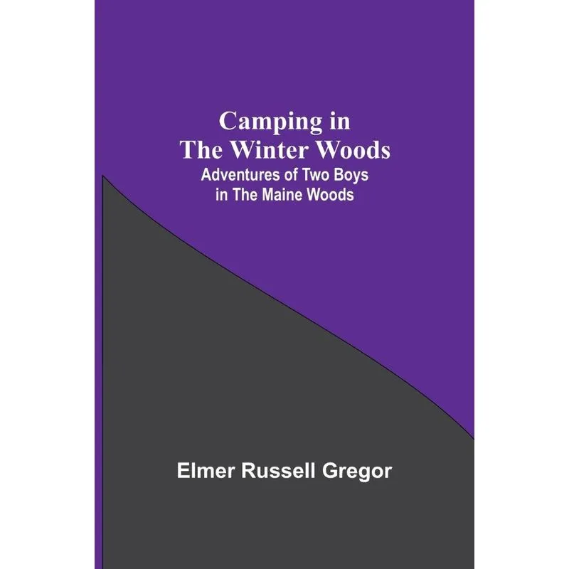 Camping In The Winter Woods