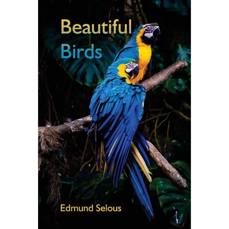 Beautiful Birds