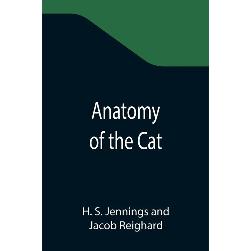 Anatomy Of The Cat