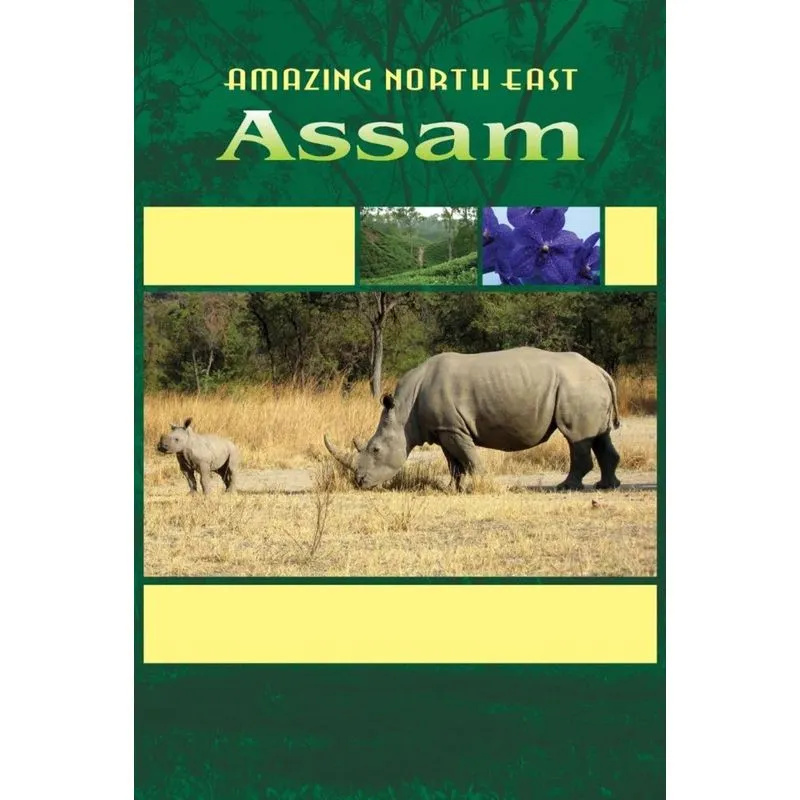 Amazing North East - Assam