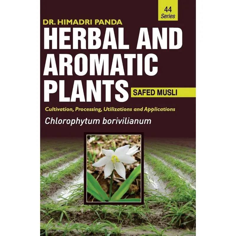 Herbal and aromatic plants - 44. Chlorophytum borivilianum