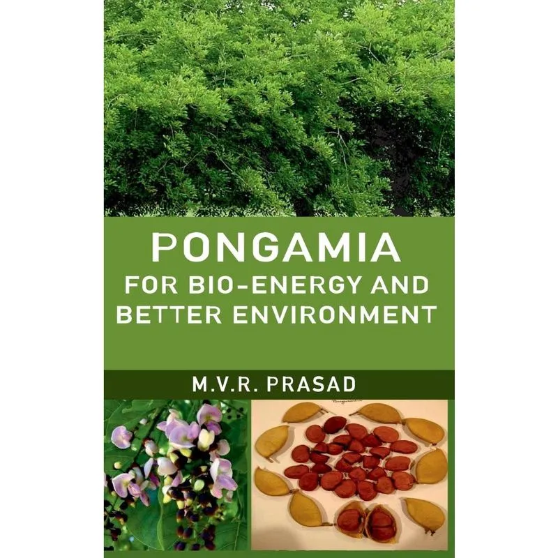Pongamia For Bioenergy And Better Environment