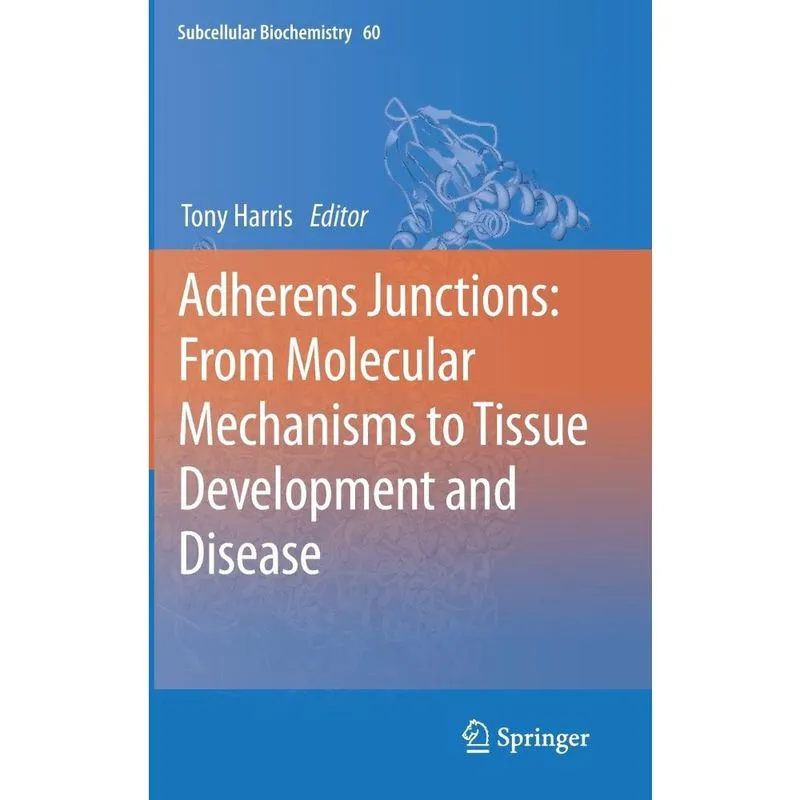 Adherens Junctions