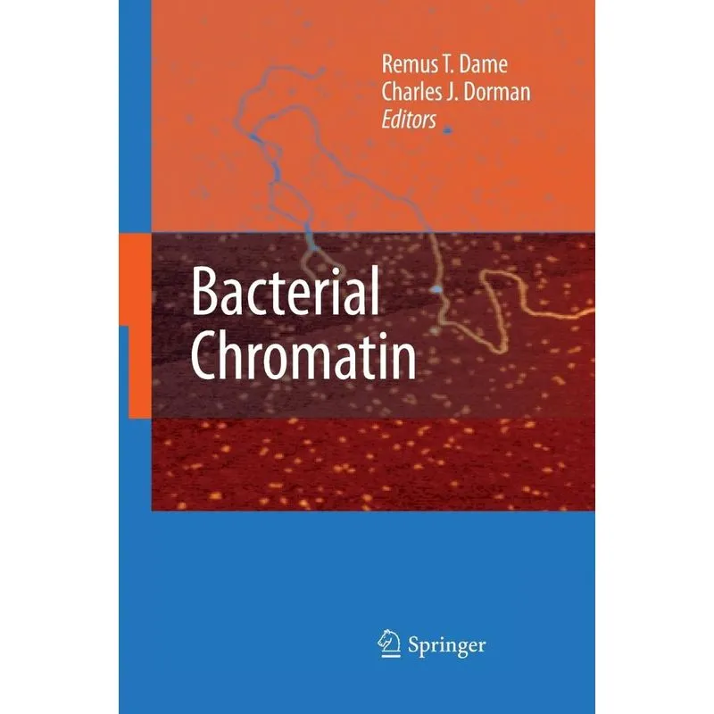 Bacterial Chromatin