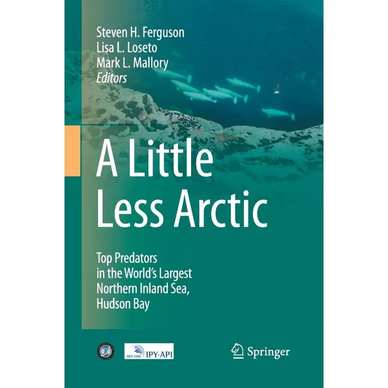 A Little Less Arctic