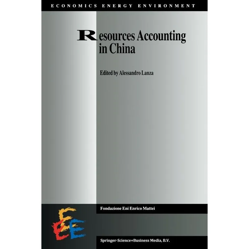 Resources Accounting in China