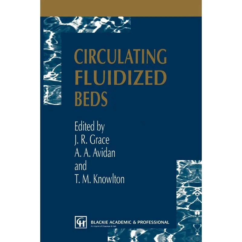 Circulating Fluidized Beds