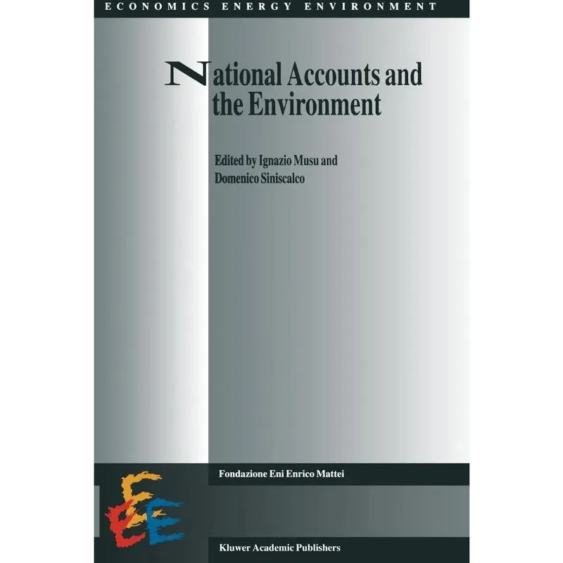 National Accounts and the Environment