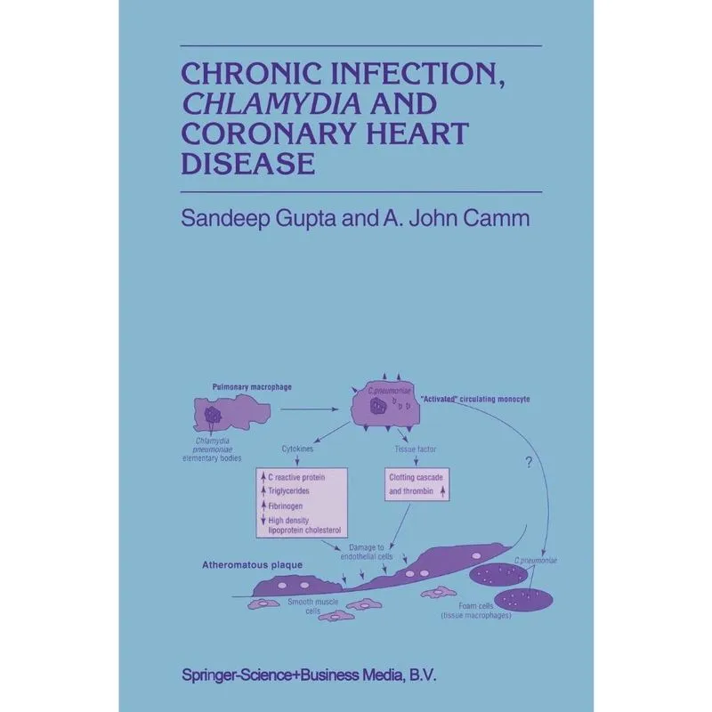 Chronic Infection, Chlamydia and Coronary Heart Disease