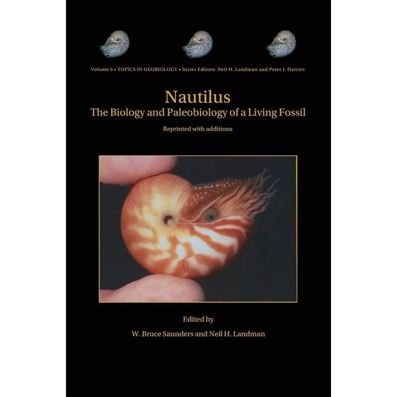 Nautilus