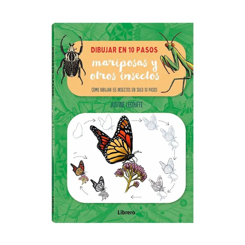 Dibujar en 10 pasos: mariposas y otros insectos