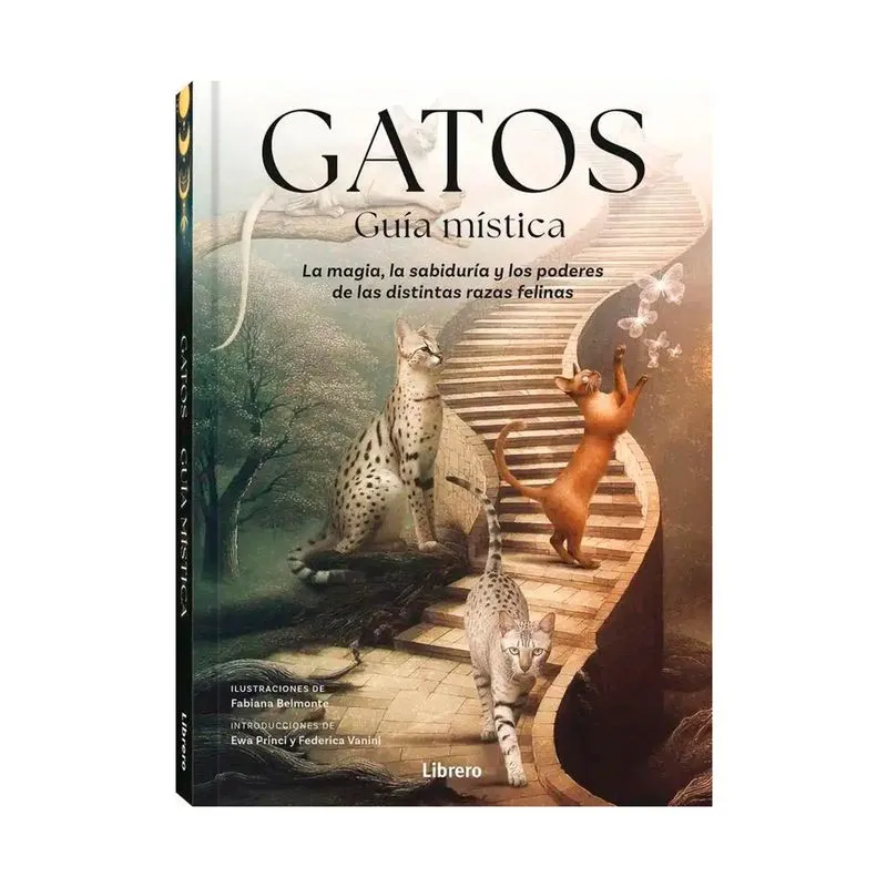 Gatos guia mistica