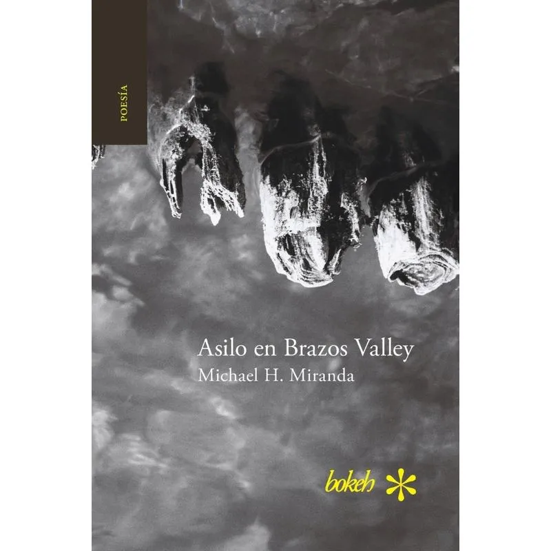 Asilo En Brazos Valley