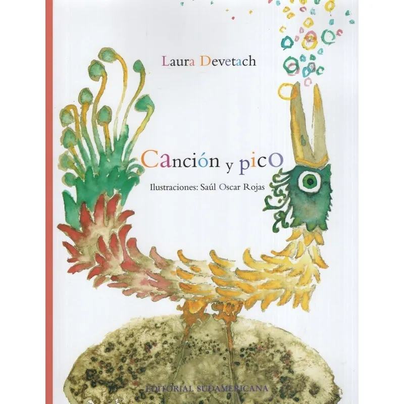 Livro Cancion Y Pico