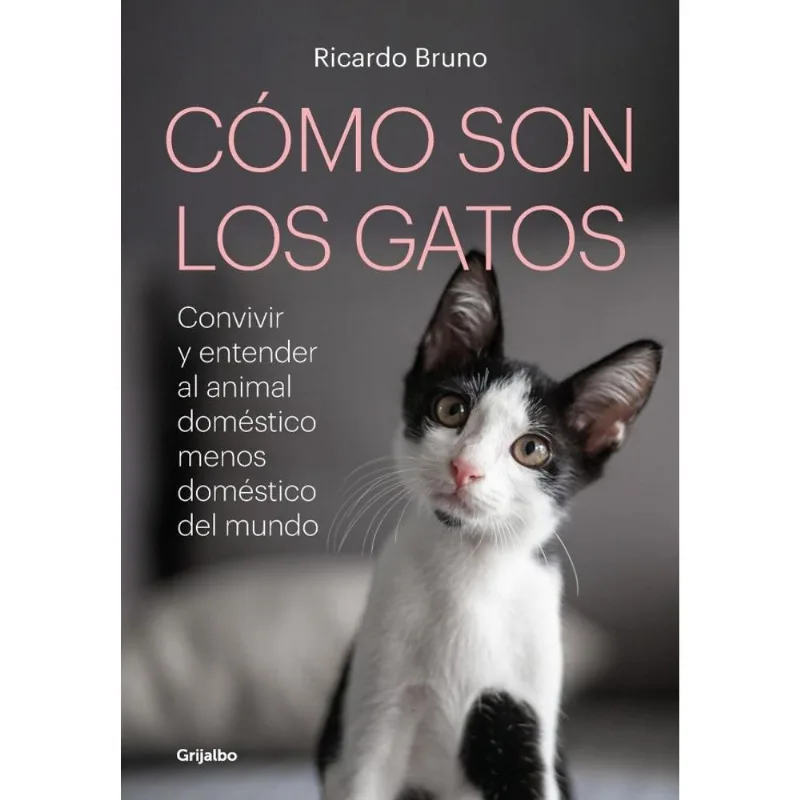 COMO SON LOS GATOS? - Bruno, Ricardo COMO SON LOS GATOS?